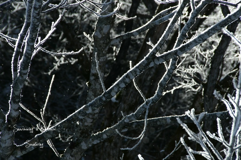 b0223512_23113937.jpg