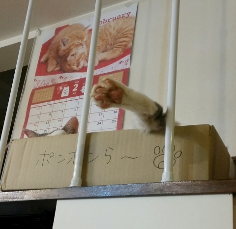 e0144012_13372895.jpeg