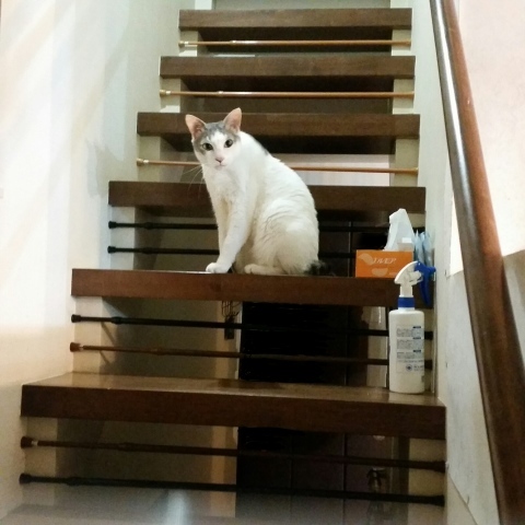 e0144012_14175933.jpeg