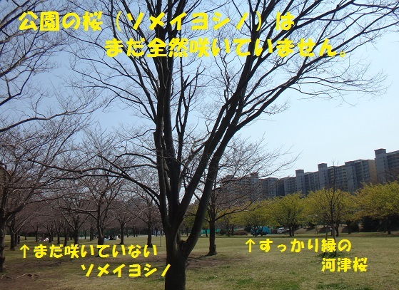 f0121712_07410351.jpg
