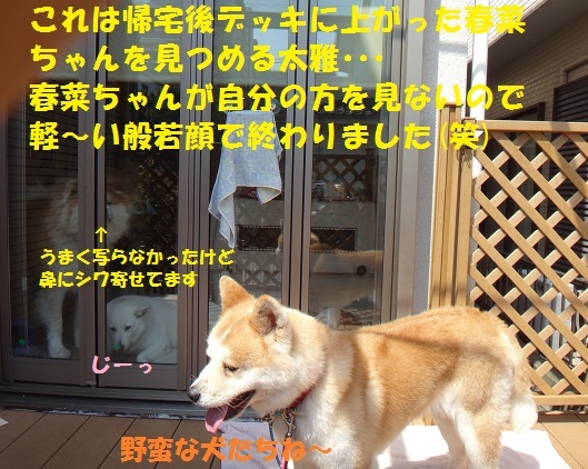 f0121712_08015698.jpg