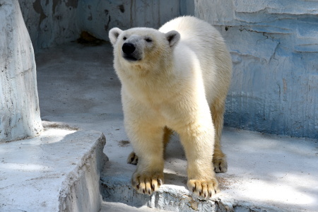 f0344626_10021661.jpg