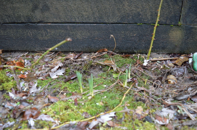 b0221428_08493937.jpg