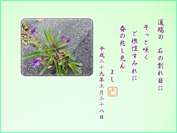 e0033229_1832021.jpg