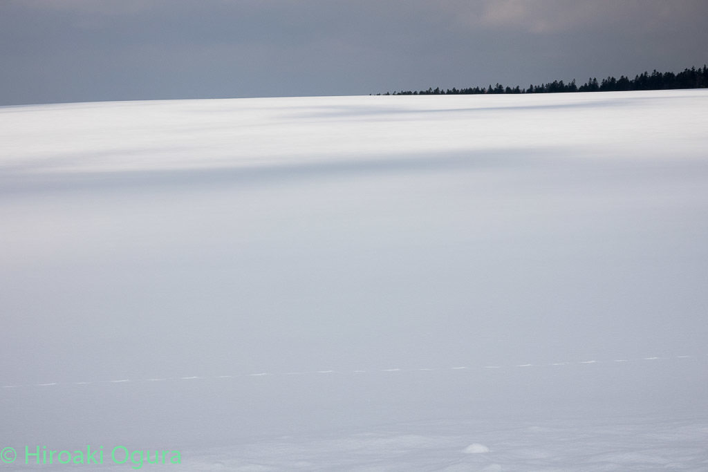 e0025030_21592439.jpg