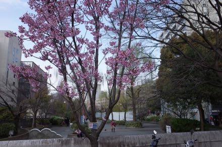 f0132230_1551747.jpg