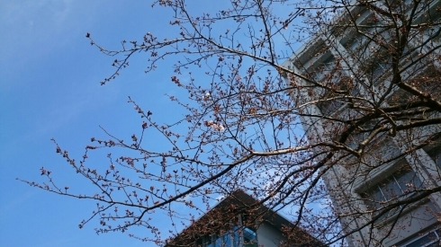 c0095835_08053678.jpg