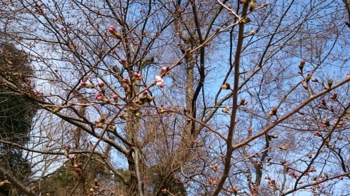 c0095835_08053996.jpg