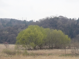 c0147935_19431945.jpg