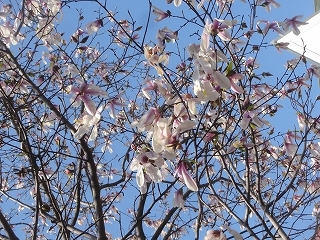 c0147935_20143680.jpg