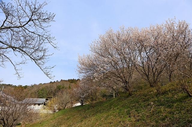 a0242438_20151711.jpg