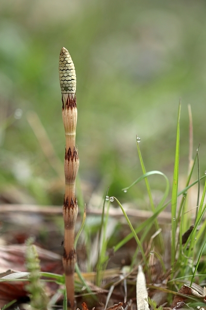 a0242438_20151759.jpg