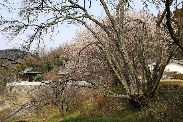 a0242438_20161223.jpg