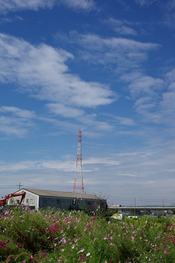 c0032138_20191322.jpg