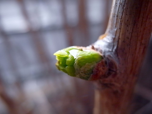 d0350542_20291551.jpg