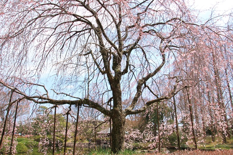 a0167759_1133527.jpg