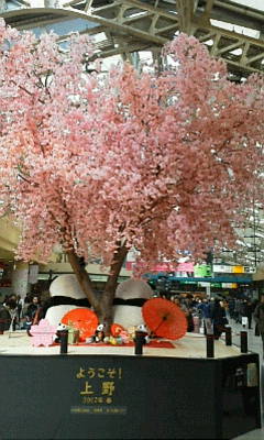 b0105259_17473068.jpg