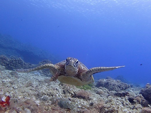 e0132965_18240640.jpg