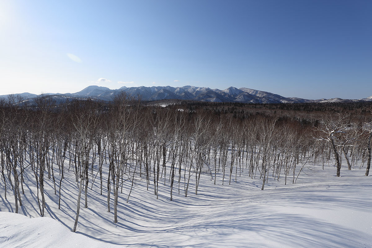 f0054366_12201121.jpg