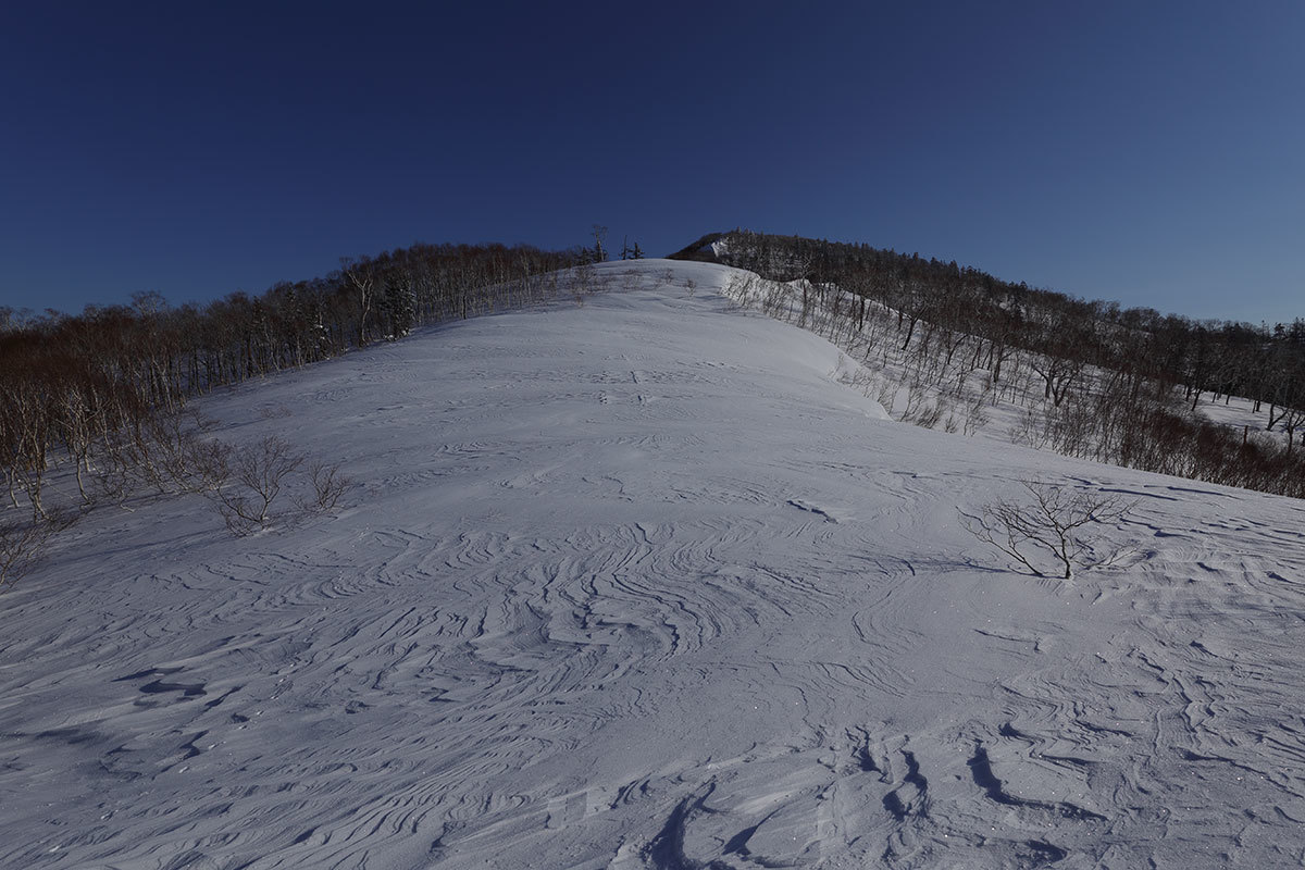 f0054366_12211466.jpg