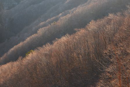 c0303868_07384816.jpg