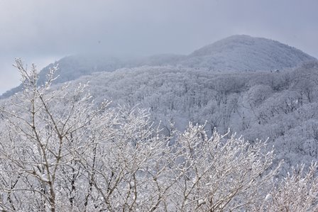 c0303868_10003084.jpg