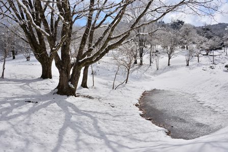 c0303868_10020549.jpg