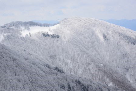 c0303868_10093055.jpg