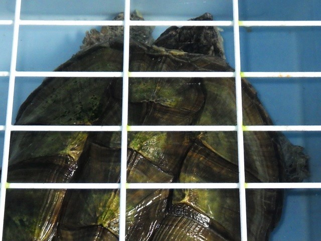 c0105569_00215963.jpg