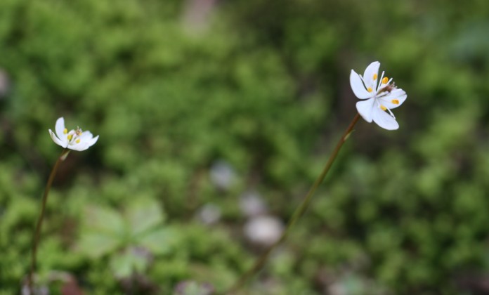 c0144185_2334277.jpg