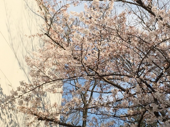 c0123890_19591187.jpg