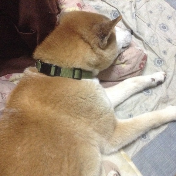 c0123890_20425199.jpeg