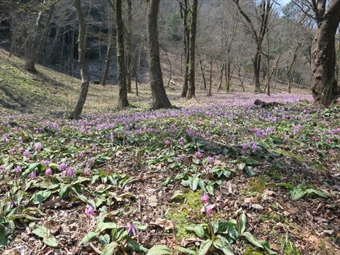 e0271890_22220860.jpg