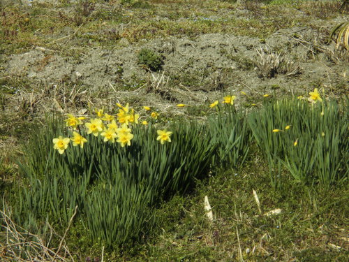 c0108198_1632990.jpg