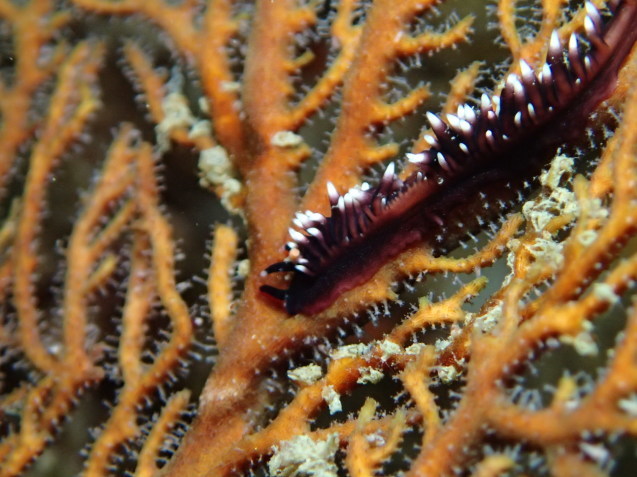 e0115199_13550561.jpg