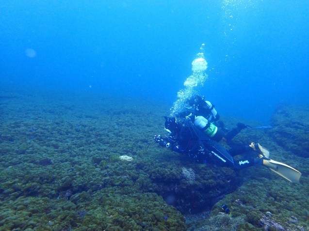 e0115199_14313588.jpg