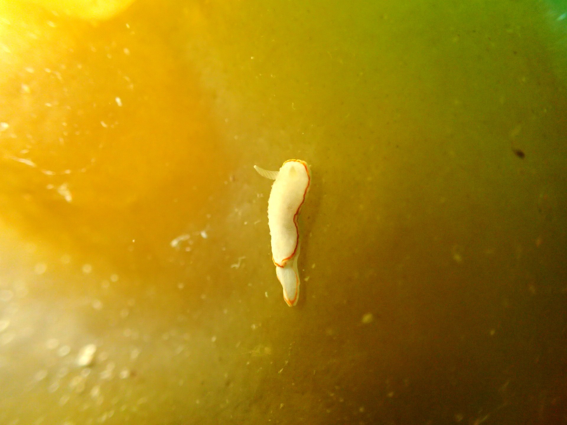 e0115199_14322955.jpg