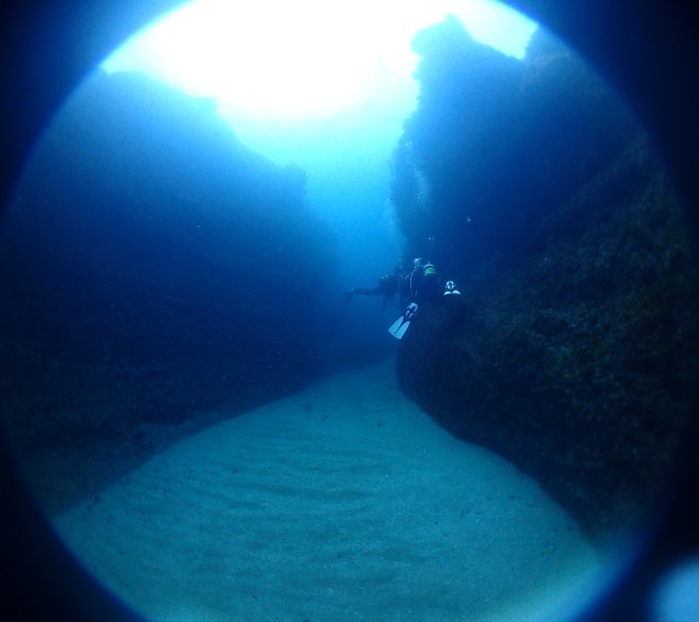 e0115199_15382721.jpg