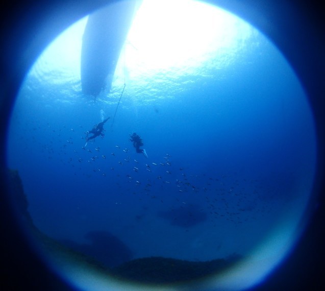 e0115199_15431689.jpg