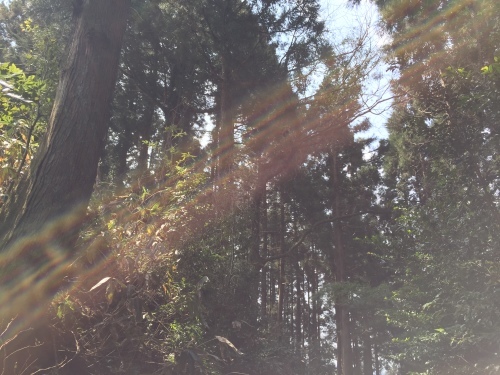 a0310702_18550321.jpeg