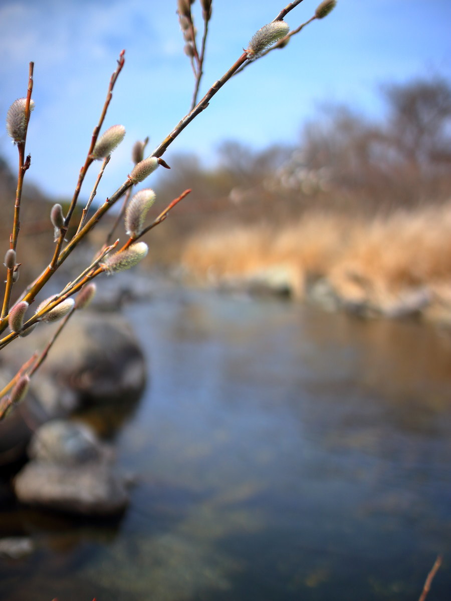 e0009009_23402830.jpg