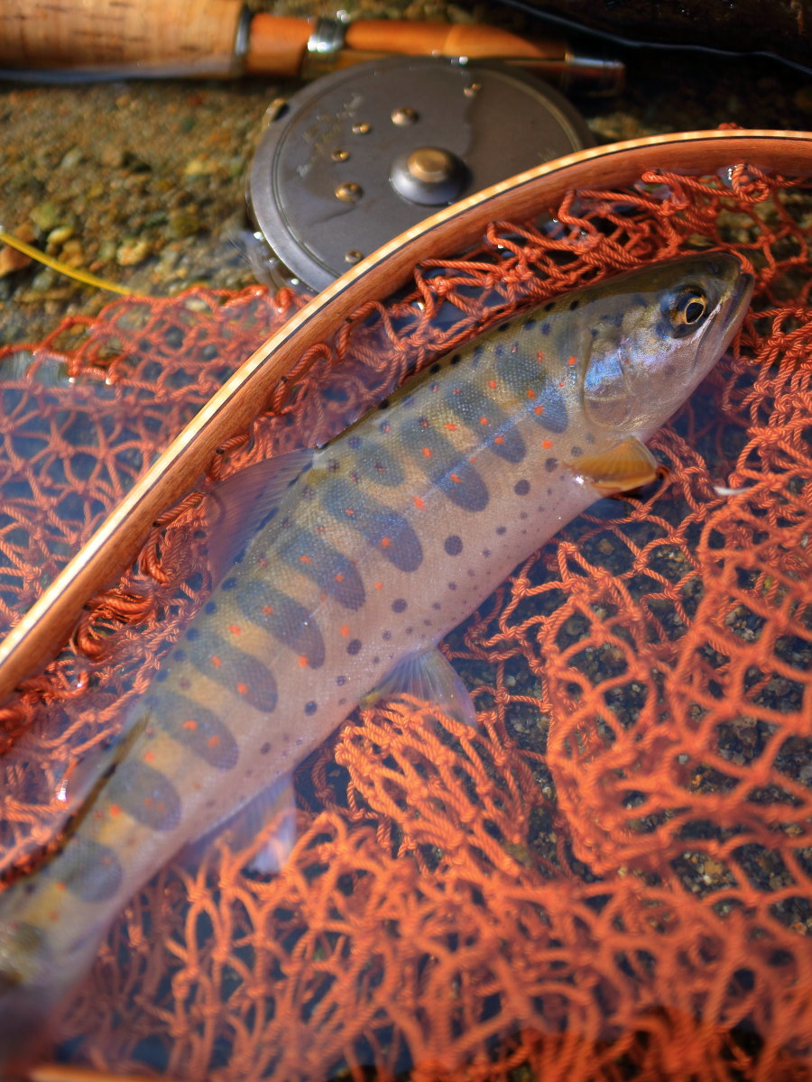 e0009009_23412450.jpg
