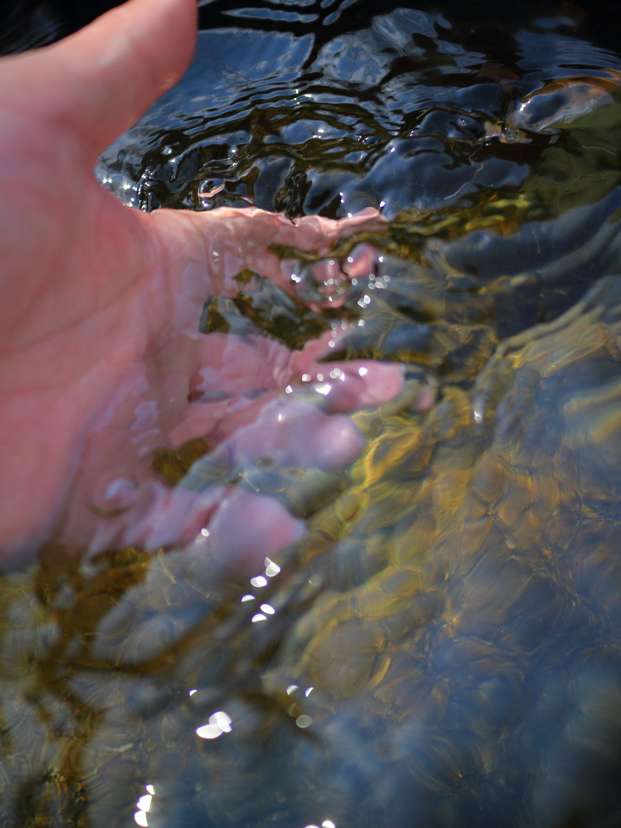 e0009009_23414839.jpg