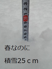 b0200310_9184163.jpg