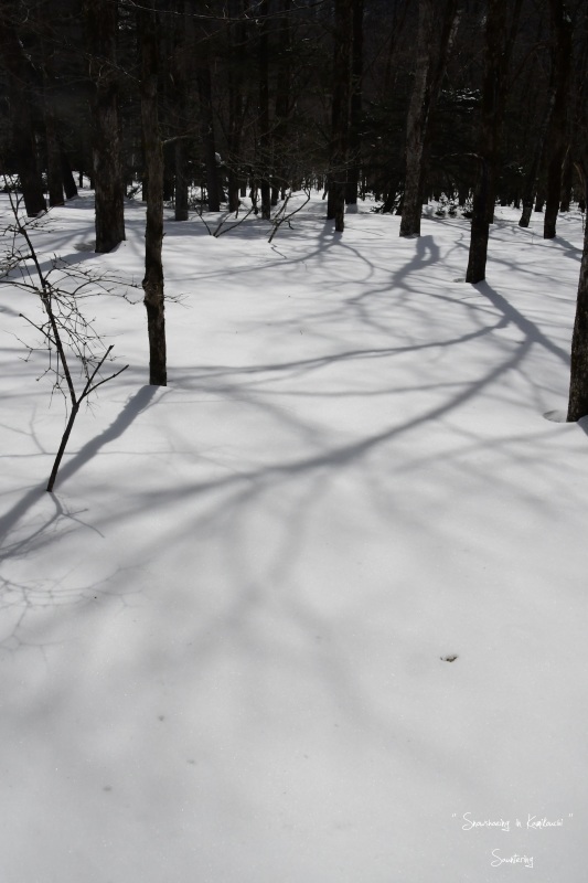 b0223512_23013565.jpg