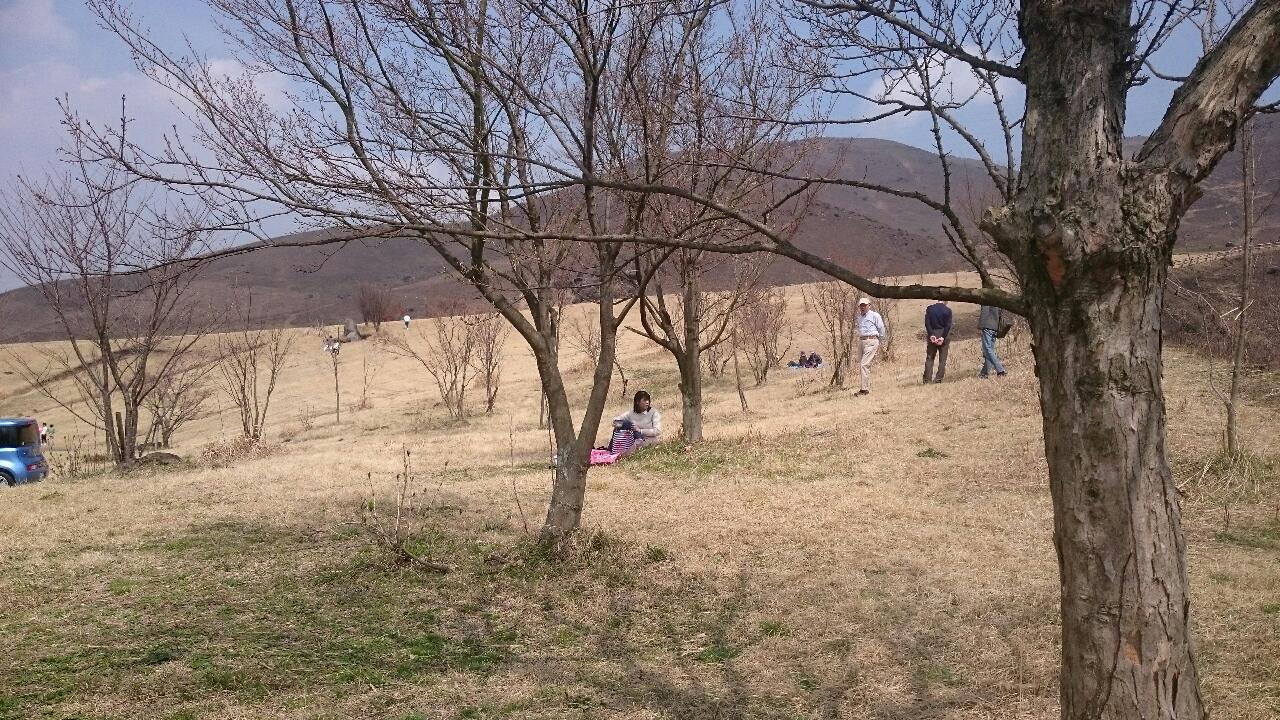 e0350415_22162093.jpg