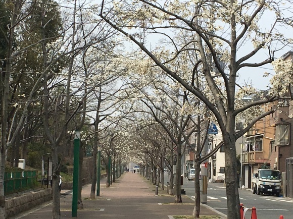 a0098418_18472687.jpg