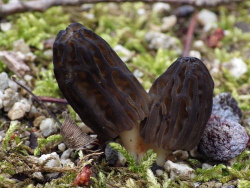 e0352220_15034669.jpg