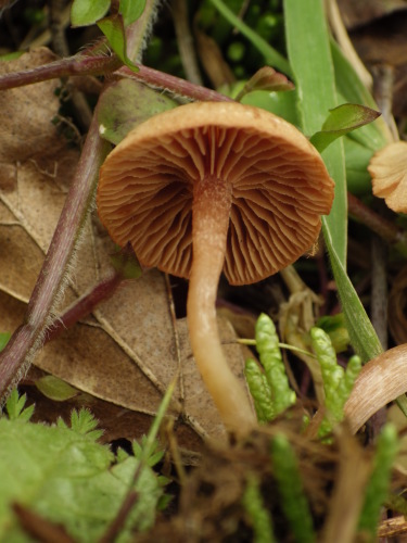 e0352220_15112036.jpg