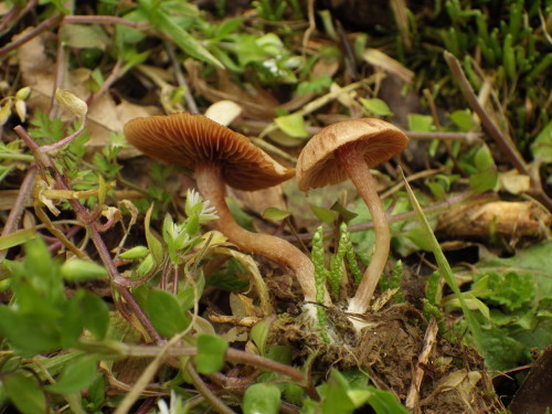 e0352220_15120354.jpg